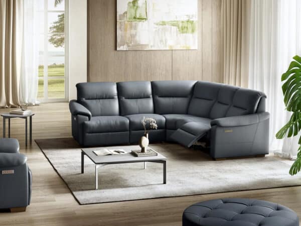 Natuzzi Editions Potenza C063