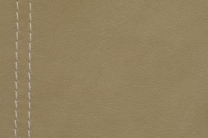 Natuzzi Editions Leather Arizona Mastic 15B1