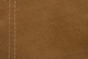 Natuzzi Editions Leather Arizona Honey 15B3
