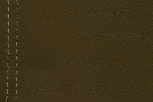Natuzzi Editions Leather Le Mans Camel light tan 15C5 Protecta