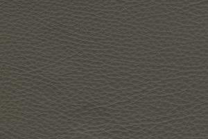 Natuzzi Editions Leather Le Mans Steel Grey 15D1