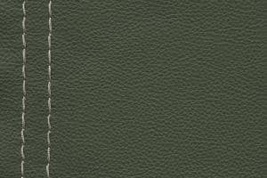 Natuzzi Editions Leather Le Mans Cactus 15D4