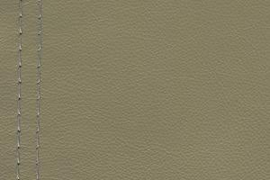 Natuzzi Editions Leather Le Mans Thyme 15F3