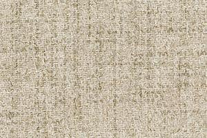 Natuzzi Editions Fabric Atena Naturale 68005304