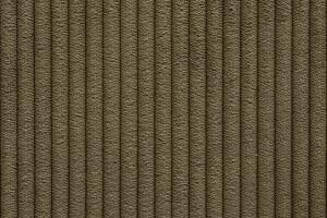 Natuzzi Editions Fabric Evans Olive Green 68005503