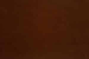 Natuzzi Editions Fabric Brezza Rust 70007723