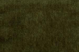 Natuzzi Editions Fabric Cupido Moss 78017902