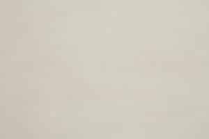 Natuzzi Editions Fabric Sfinge Ivory 78018101